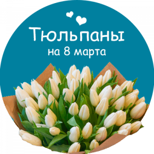 Купить тюльпаны в Пучеже